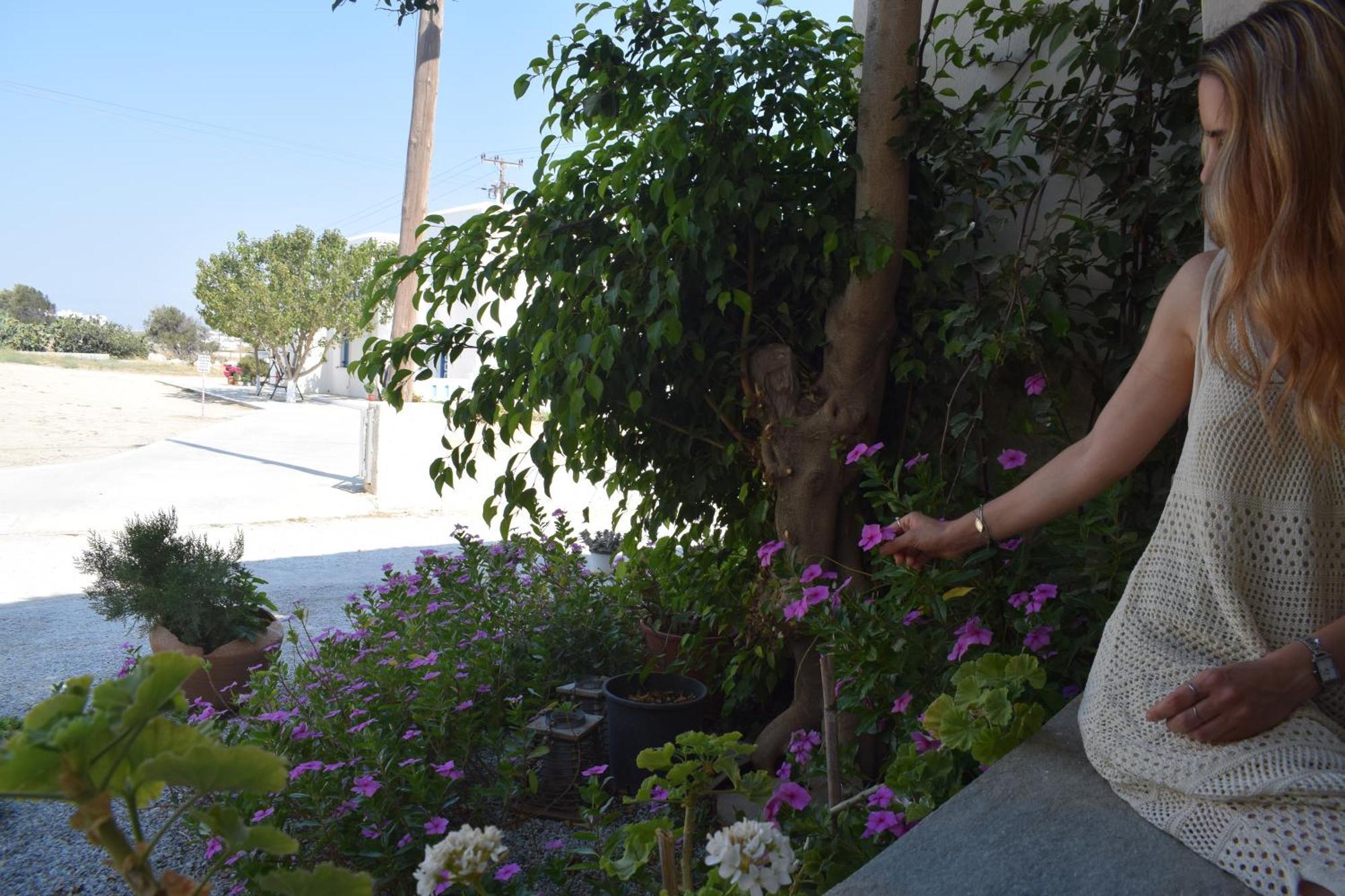 Birbas Hotel Agia Anna  Rum bild